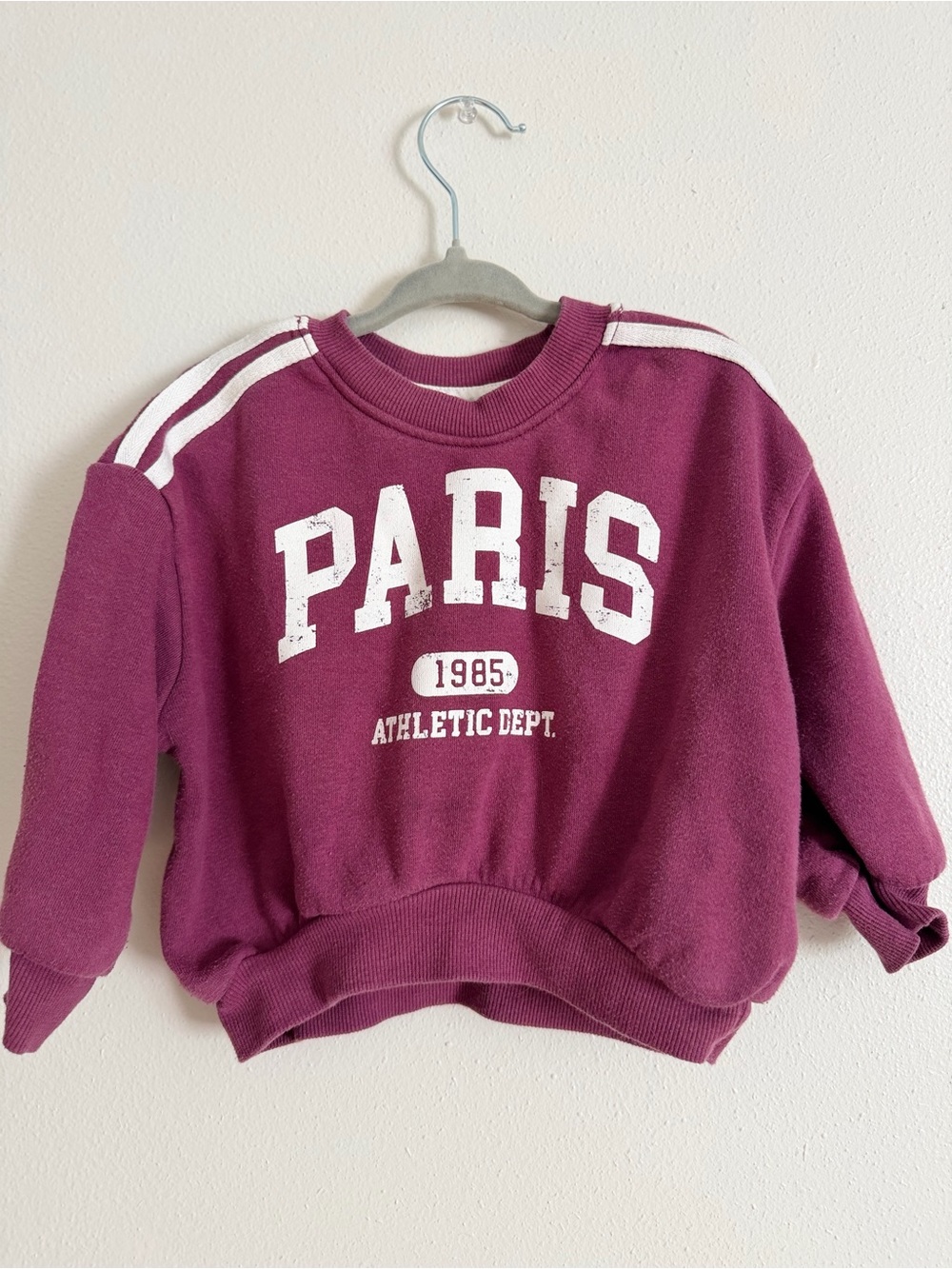 Grayson mini Athletic Dept. Sweatshirt - Berry